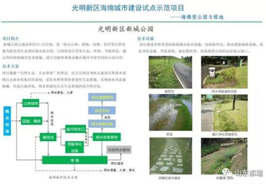 如何理解「海綿城市」的概念？